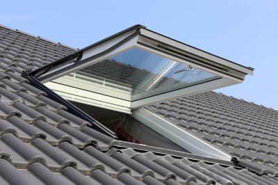 Skylight Glass Repair detail