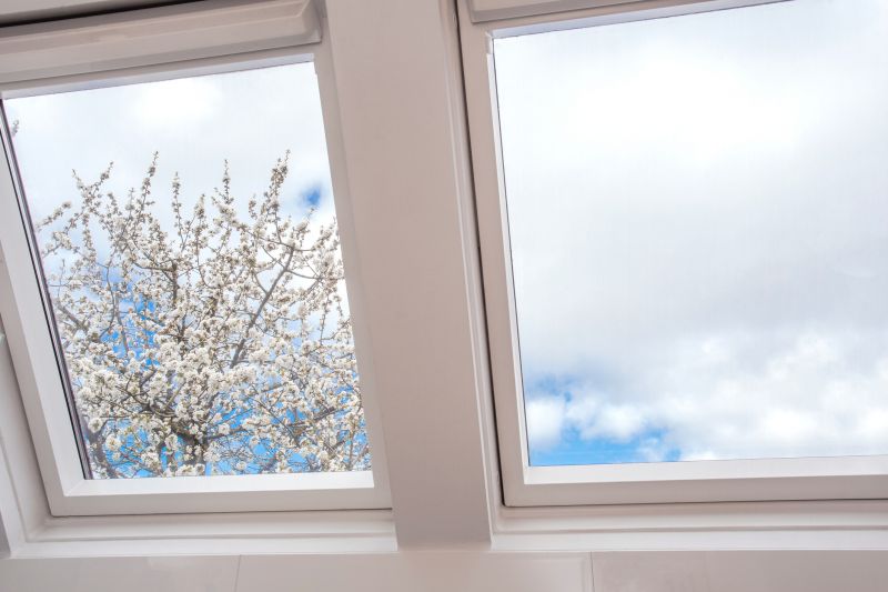 Skylight Glass Replacement detail