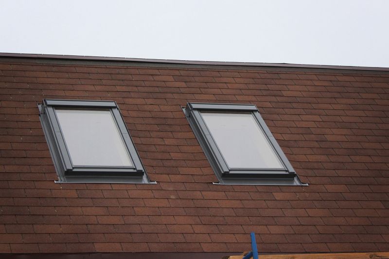 Skylight Repair Service detail