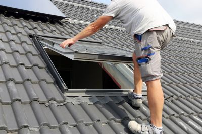 Skylight Repair Service detail