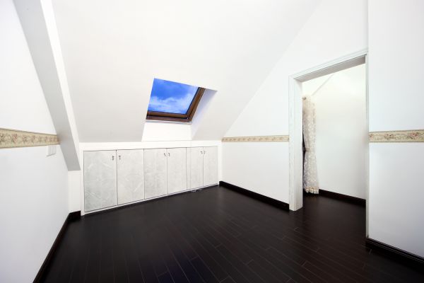 Skylight Renovation